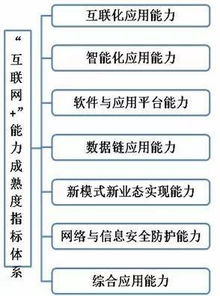 觀點(diǎn) 互聯(lián)網(wǎng)數(shù)據(jù)服務(wù)能力成熟度評(píng)估方法探討